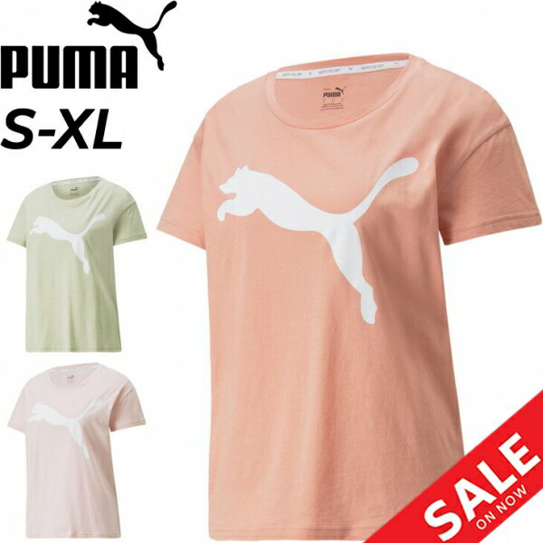 半袖 Tシャツ レディース/プーマ PUMA RTG ロゴ Tee/スポーツウェア トレーニング フィットネス ランニング 吸汗速乾 女性 ビッグロゴ トップス/588938-【pu22pd】のサムネイル