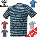 半袖Tシャツ メンズ ヒュンメル hummel PLAY グラフィックTシャツ/スポーツウェア プリントT 総柄 クルーネック 吸汗速乾 男性 カジュアル トップス/HAP4147