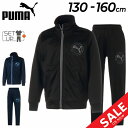 ◆ 商品詳細情報 ◆ ブランド プーマ PUMA 商品番号 675010-675011（トップス：675010 / ボトムス：675011） カラー (01)プーマブラック (06)プーマネイビー サイズ 130cm 140cm 150cm 160cm 素材 【トップス】 本体：ポリエステル100％ リブ：ポリエステル97％、ポリウレタン3％ 【ボトムス】 ポリエステル100％ ◆画像のカラーについて◆ 商品画像のカラーにつきましては、PC、モバイルなど閲覧環境等により実物のカラーと多少異なることもございます。 予めご理解のうえご注文を賜りますようお願いいたします。 ギフト対応 ※メーカー希望小売価格はメーカーサイトに基づいて掲載しています (記載価格が税抜き価格になっている場合もございます)【プーマ PUMA / キッズ / 上下セット】 ◆単品のトップスはこちら→ [ジャケット] ◆単品のボトムスはこちら→ [パンツ] ◆　商　品　説　明 ◆ □□□当店で販売しております商品はすべて【正規取扱品】です□□□ プーマ（PUMA）から、キッズ・ジュニアのジャージ上下セットです。 【ジャケット】 軽くてソフトな風合いが印象的なACTIVE SPORTSコレクションのトレーニングジャケットです。 シンプルなデザインながらも、バックの大きなプーマキャットプリントがアクセントに。 スタンドカラーで首元までしっかり閉まります。また、フルジップタイプなので、 閉めて着ても、羽織としても重宝するアイテムです。 着こなしの幅が広がる使い勝手のいいアイテムです。 ・レギュラーフィット ・ガード付きフルジップクロージャー ・スタンドカラー ・サイドポケット ・袖口と裾はリブ仕立て 【ボトムス】 ACTIVE SPORTSコレクションのトレーニングパンツ。 ポリエステル素材でさらっとした着心地で、快適な着用感が元気なお子様にピッタリのアイテムです。 軽やかでソフトな風合いの生地と総ゴムウエスト仕様でストレスフリーなはき心地を叶えます。 サイドポケット付きで小物などの持ち運びにも便利なアイテムです。 ・レギュラーフィット ・左ももにプーマキャットプリント ・総ゴムウエスト ・サイドポケット ※トップス：ボーイズ ACTIVE SPORTS トレーニング ジャケット ※ボトムス：ボーイズ ACTIVE SPORTS トレーニング パンツ