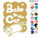 ポイント5倍!【Baby in the car】 アライグマ 星 動物 ステッカー 窓ガラス用シールタイプ 車 マグネットタイプも選べる★ 子供が乗っています ...
