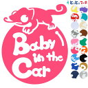 ポイント5倍!【Baby in the car】 カメレオン 丸 動物 ステッカー 窓ガラス用シールタイプ 車 マグネットタイプも選べる★ 子供が乗っています ...