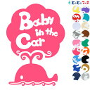 ポイント2倍！ 【Baby in the car】水の生き物シーズ クジラ 泳ぐ 渦 ステッカー 窓 ...