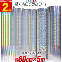 ポイント2倍!【約60cm×約5m】 ホログラムシート 約5メートル カッティング用シート カッティングシール カッティングステッカー コンサート用うちわ デコ...