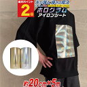 ポイント2倍!【約20cm×約5m】 ホログラムアイロンシート アイロンプリントシートカッティング用アイロンシール Tシャツ 服 熱転写ラバーシート コスプレ衣装に ゴールド シルバー