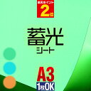 ポイント2倍！【1枚からOK】蓄光シ