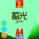 ポイント2倍！【1枚からOK】 蓄光シ