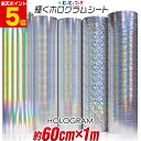 ポイント5倍!【約60cm×約1m】 ホログラムシート カッティング用シート カッティングシール カッティングステッカー コンサート用うちわ デコレーションに ホログラムステッカー ホログラムシール ホログラムテープ 光沢 文字
