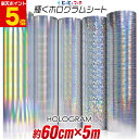 ポイント5倍！【約60cm×約5m】 ホログラムシート 約5メートル カッティング用シート カッティングシール カッティングステッカー コンサート用うちわ デコレーションに ホログラムステッカー ホログラムシール ホログラムテープ 光沢 文字