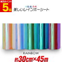 ポイント5倍!【約30cm×約45m】 レインボーカラー イエローレッド系 ブルーピンク系 グリーンブルー系 光沢 カッティング用シート 約45メートルサイズ ...