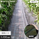【1日限定!全商品ポイント2倍】【防草シート】1m×100m アグリシート 日本ワイドクロス BG1515__nwc-1-bg