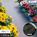 【防草シート】1m×100m 抗菌アグリシート 日本ワイドクロス BK1515 SK1515*BK SK__nwc-1-
