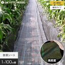 【1日限定!全商品ポイント2倍】【防草シート】【法人・個人事業主様専用】防草シート 1m×100m アグリシート 日本ワイドクロス BG1515__nwc-1-c-bg
