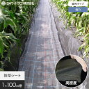 【1日限定!全商品ポイント2倍】【防草シート】1m×100m 強力アグリシート 日本ワイドクロス BB2218__nwc-1-kbb