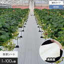 【防草シート】1m×100m アグリシート シャインホワイト 日本ワイドクロス SW1515__nwc-1-sw
