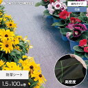 【防草シート】1.5m×100m 抗菌アグリシート 日本ワイドクロス BK1515 SK1515*BK SK__nwc-15-