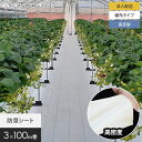 【1日限定!全商品ポイント2倍】【防草シート】【法人・個人事業主様専用】防草シート 3m×100m アグリシート シャインホワイト 日本ワイドクロス SW151...