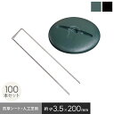 防草シート ピン 20cm ドーム型ワッシャー付き 100本セット 角U型ピン*FT-B100/BK-B100__knpnd