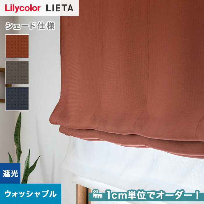 ڥɥƥ ޥ󥷥ɡۡڥ9,779ߡۥɥƥ ץ졼󥷥 ꥫ LIETA ꥨå ET570ET572__psc-lili-lie-023