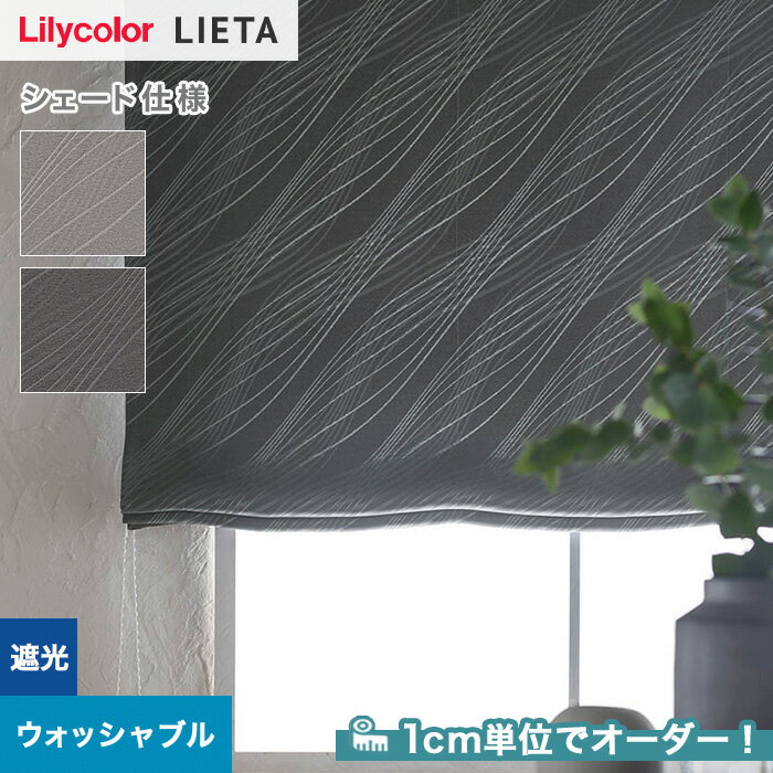 ڥɥƥ ޥ󥷥ɡۡڥ9,779ߡۥɥƥ ץ졼󥷥 ꥫ LIETA ꥨå ET590ET591__psc-lili-lie-029