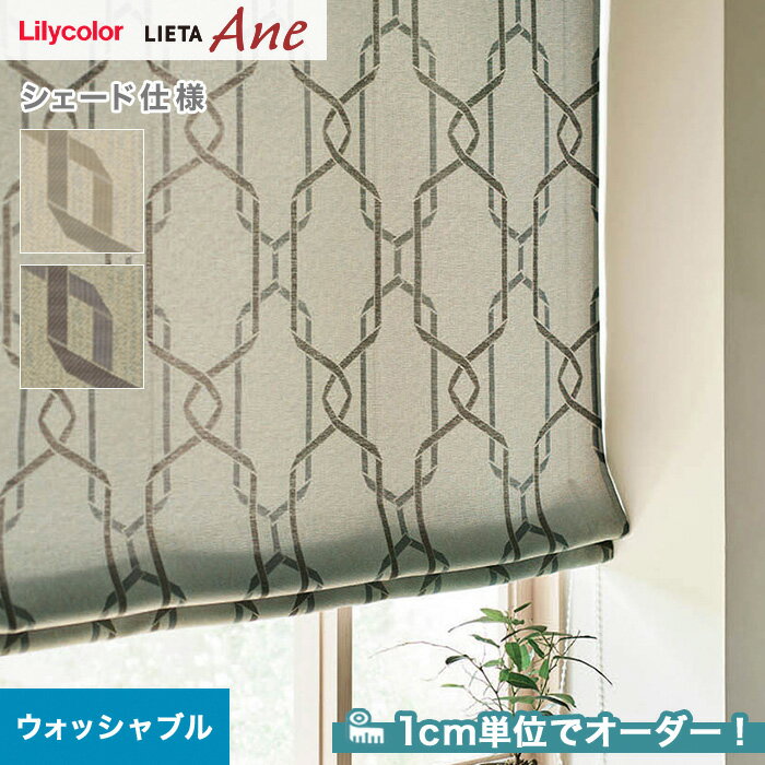 ڥɥƥ ޥ󥷥ɡۡڥ9,779ߡۥɥƥ ץ졼󥷥 ꥫ LIETA Ane ꥨå NE207NE208__psc-lili-ane-004