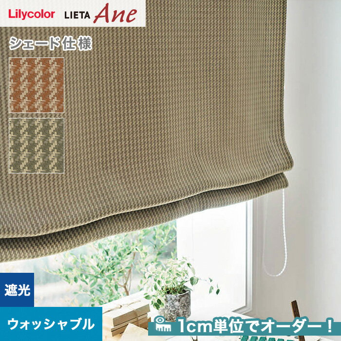 DIYSHOP RESTA ꥹ ŷԾŹ㤨֡ڥɥƥ ޥ󥷥ɡۡڥ9,779ߡۥɥƥ ץ졼󥷥 ꥫ LIETA Ane ꥨå NE251NE252__psc-lili-ane-023פβǤʤ1ߤˤʤޤ