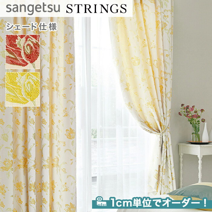 ڥɥƥ ޥ󥷥ɡۡڥ20,009ߡۥɥƥ ޥ󥷥 󥲥 STRINGS ȥ󥰥 SC81158116__psc-san-str-045