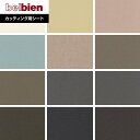 【カッティングシート】ベルビアンシート METAL CY-100~CY-111*CY-110/CY-111