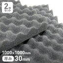【ウレタン スポンジ】粘着剤付き F-2波型プロファイル吸音材 30mm厚 1000×1000mm 2枚セット__str-f-2pf-3-10n