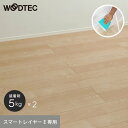 朝日ウッドテック アネックスST スマートレイヤーE専用 接着剤(5kg×2袋)__wgms-1052