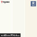 【法人・個人事業主様は送料無料】【巾木 幅木】タジマ ソフト巾木 Rなし 高さ60mm×長さ914.4mm ウォールカラー 25枚入*HB-99 HB-80 HB-82__tz-60rn-