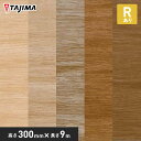 【法人・個人事業主様は送料無料】【巾木 幅木】タジマ ガード巾木・AC Rなし 厚さ2.8mm×高さ300mm×長さ9M 木目柄*HBG-101 HBG-102 HBG-103 HBG-104 HBG-105__tz-
