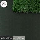 【1日限定!全商品ポイント2倍】【ザバーン同等品】防草シート人工芝の下地材に! グリーンビスタ プロ 砂利下シート 240J(強力タイプ) 幅1m×30m (プラピン50本付)__gv-240j10p