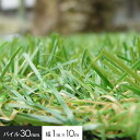 【人工芝】パイル30mm 幅1m×10m巻 FHG-110__js-fhg-110