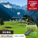 【人工芝】【旧仕様】人工芝 ロール 1m×10m 芝丈35mm トゥフ・デルブ U字ピン24本付き__resta-jks-035-out