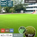 【1日限定!全商品ポイント2倍】【人工芝】ロール 2m×10m 芝丈35mm リアル人工芝 高密度 【波型パイル】__sh-a35l-5