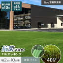 【人工芝】ロール 2m×10m 芝丈40mm リアル人工芝 高密度 【抗菌】__sh-a40l-5-thz