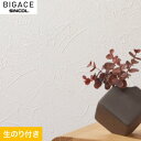 yǎzNXŷtǎzVR[ BIGACE ȃGlǎ BA6032__ba6032