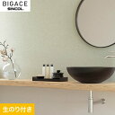 yǎzNXŷtǎzVR[ BIGACE Vv BA6146__ba6146