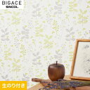 yǎzNXŷtǎzVR[ BIGACE ~fBA BA6201__ba6201