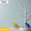 yǎzNXŷtǎzVR[ BIGACE ~fBA BA6280__ba6280