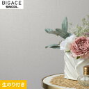 yǎzNXŷtǎzVR[ BIGACE fReBu BA6384__ba6384