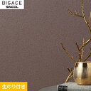 クロスシンコール BIGACE デコラティブ BA6406__ba6406