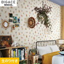 yǎzNXŷtǎzVR[ BIGACE fReBu BA6433__ba6433