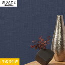 yǎzNXŷtǎzVR[ BIGACE fReBu BA6449__ba6449