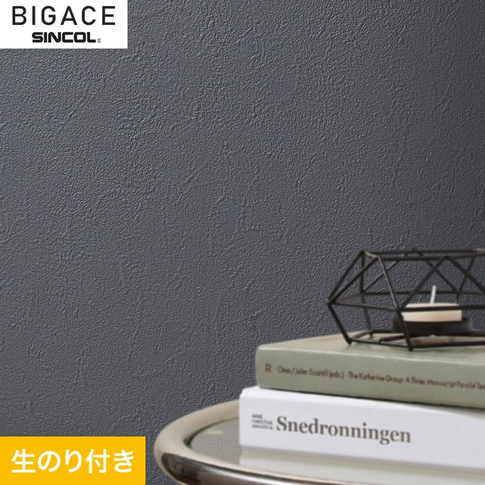 ɻۥڤΤդɻۥ󥳡 BIGACE ǥƥ BA6455__ba6455