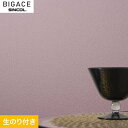 yǎzNXŷtǎzVR[ BIGACE fReBu BA6457__ba6457