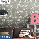 yǎzNXŷȂǎzVR[ BIGACE W[iX^_[h BA6472__nba6472