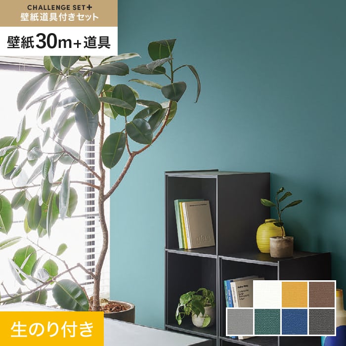 ɻۥΤդ 󥸥åȥץ饹 (åɻ90cm+ƻ) 30m BB8109*BB8109/BB8115__cs...