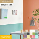 【壁紙】クロスのり付き チャレンジセットプラス (スリット壁紙90cm巾+道具) 30m BB8248〜*BB8248/BB8260__cs30-k-