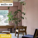 【壁紙】クロスのり付き チャレンジセットプラス (スリット壁紙90cm巾+道具) 15m BB2382__cs15-k-bb2382
